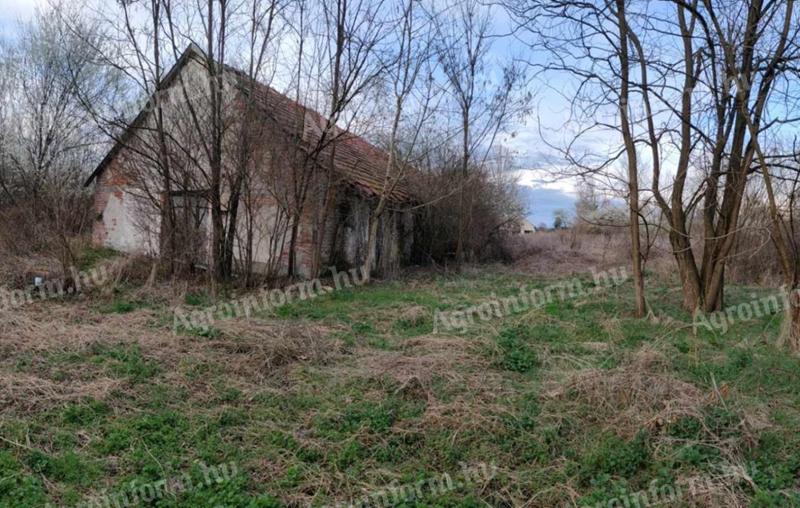Eladó Rédicsen 5699 m² külterületi épület és istálló