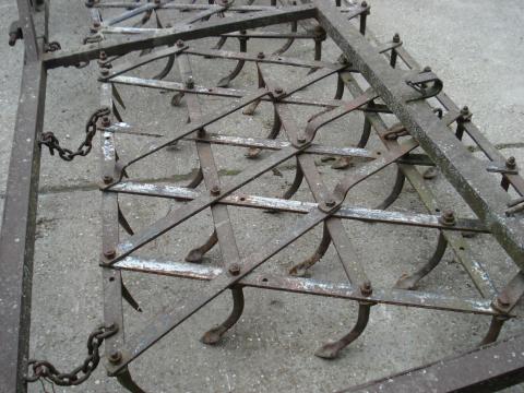 Fogas (lúdláb) 4 m eladó Fogas (lúdláb) 4 m eladó