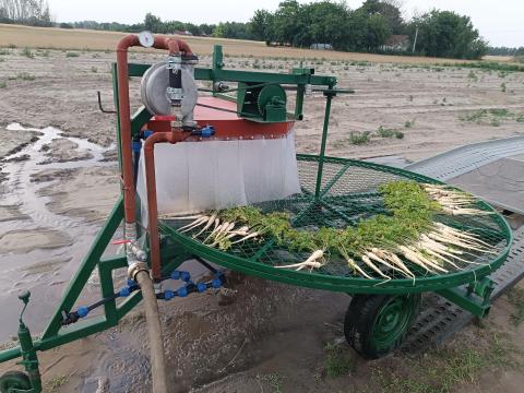 Zöldségmosó Zöldségmosó