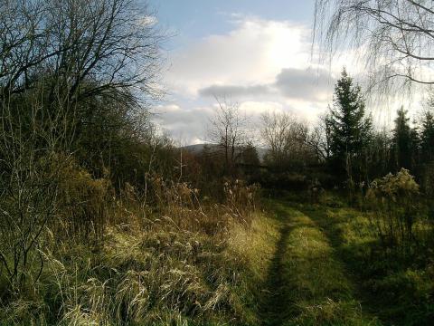 Gönci kőbánya, kivett terület, erdő Gönci kőbánya, kivett terület, erdő