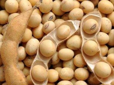 Szója lombtrágya C-komplex Dr. Szakál Pál - Győrszentiván Szója lombtrágya C-komplex Dr. Szakál Pál - Győrszentiván