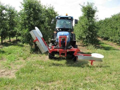 JAGODA TELMA GYOMÍRTOZÓ - ROYAL TRAKTOR