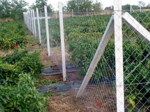 Kerítés építés,  kivitelezés - országosan! Drótfonat,  drótháló,  vadháló,  vadkerítés,  oszlop