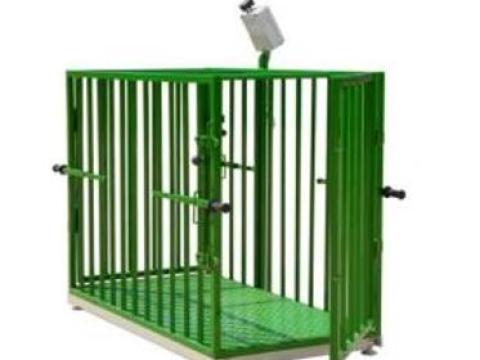 M-ROL Élőállat mérleg sertésekhez M-ROL Élőállat mérleg sertésekhez