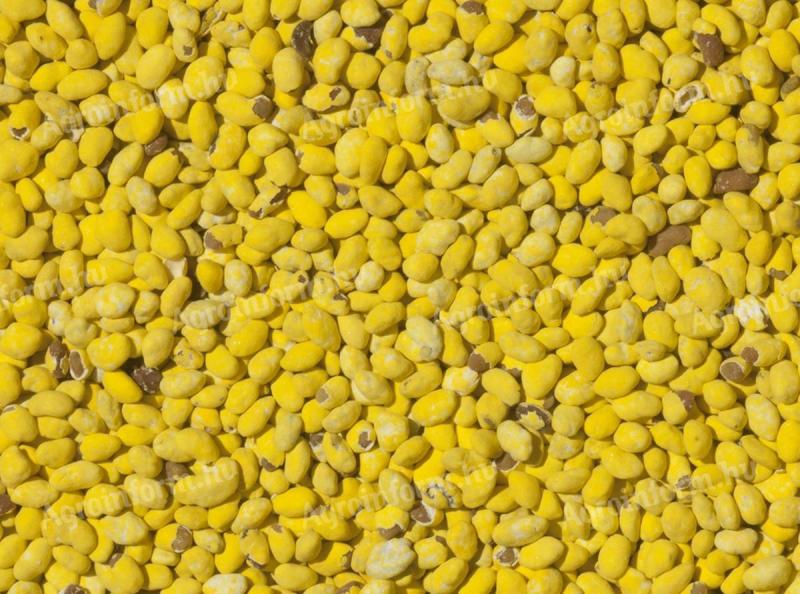 Eladó fémzárolt Dimitra lucerna vetőmag postai utánvéttel