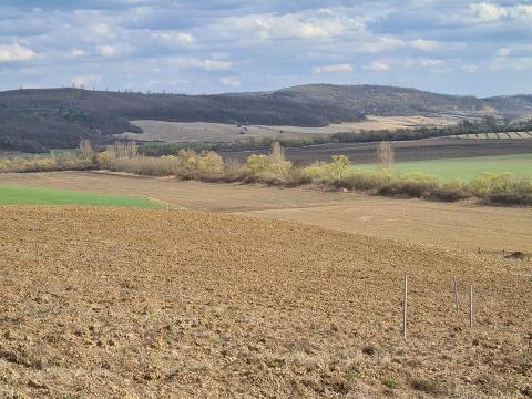 Szántó/Tanya Bererítve eladó Szántó/Tanya Bererítve eladó