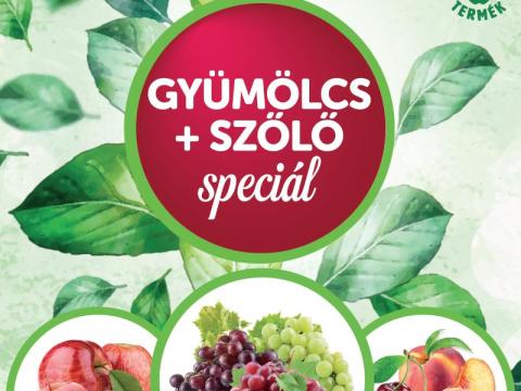 Damisol Gyümölcs-Szőlő Speciál - Biokatalizátor Levéltrágya Damisol Gyümölcs-Szőlő Speciál - Biokatalizátor Levéltrágya
