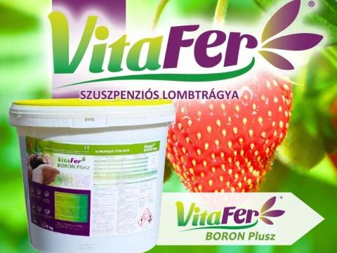 VitaFer Boron Plusz magas bórtartalmú szuszpenziós lombtrágya VitaFer Boron Plusz magas bórtartalmú szuszpenziós lombtrágya