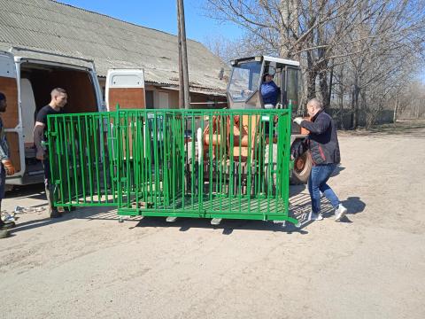 M-ROL WG02 Sertésmérleg M-ROL WG02 Sertésmérleg