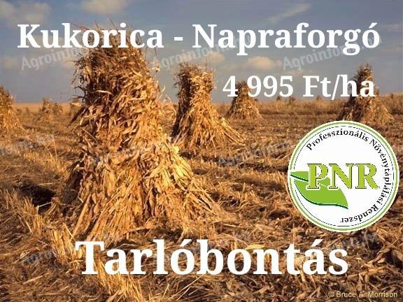 Kukorica - Napraforgó HATÉKONY TARLÓBONTÁS