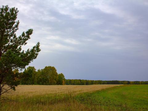 Eladó 46 hektár legelő Somogy megyében