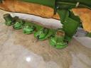 Krone ActiveMow R200 Diszkes kasza (Demo)