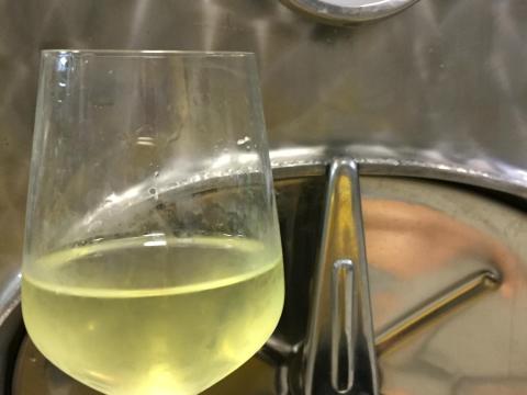 Minőségi szőlőmust Minőségi szőlőmust