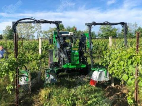 DA ROS GREEN SPL SZŐLŐHAJTÁS ELTÁVOLÍTÓ - ROYAL TRAKTOR DA ROS GREEN SPL SZŐLŐHAJTÁS ELTÁVOLÍTÓ - ROYAL TRAKTOR