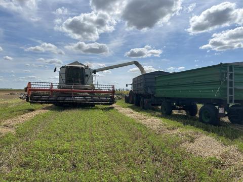 Béraratás Béraratás