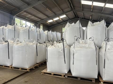 Eladó tisztított rozs Eladó tisztított rozs