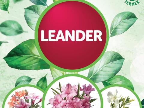 Damisol Leander – Komplex biokatalizátor levéltrágya Damisol Leander – Komplex biokatalizátor levéltrágya