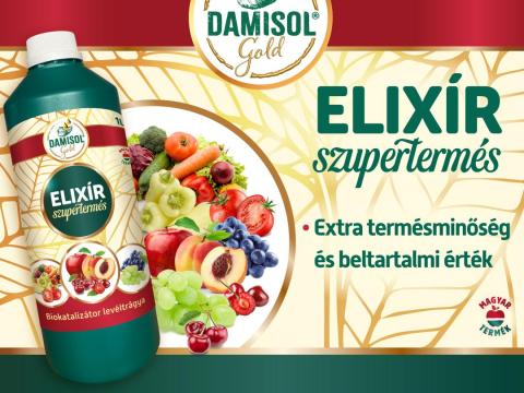 Damisol Szőlő Levéltrágyázási Program Damisol Szőlő Levéltrágyázási Program