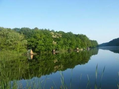 Mikosszéplak legszebb részén 1795 m2-es építési telek eladó Mikosszéplak legszebb részén 1795 m2-es építési telek eladó