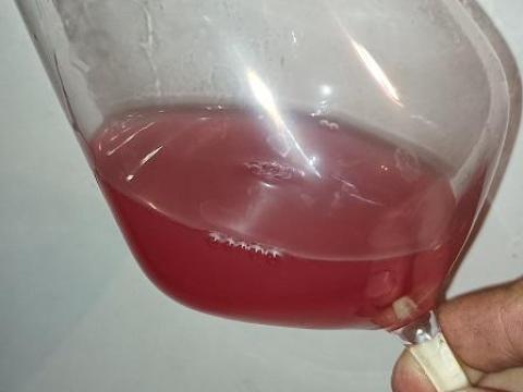 Szőlőmust előjegyezhető Szőlőmust előjegyezhető