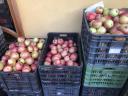Kiváló minőségű szilva eladó – Althann ringló, Rodna, Stanley, Besztercei