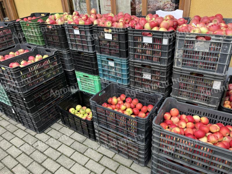 Léalma eladó nagy mennyiségben