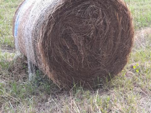 Réti széna nagybálás Réti széna nagybálás