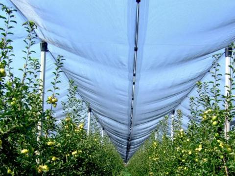 Nortene Hailnet hurkolt jégkár elleni védőháló 3 x 100 Zöld