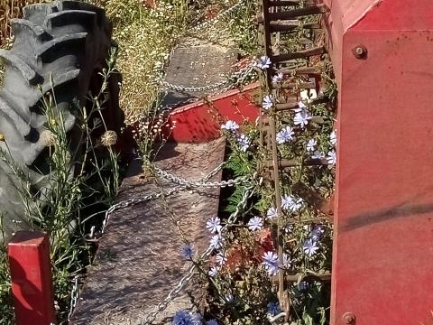 Lajta vetőgép Lajta vetőgép