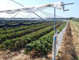 Mezőgazdasági vállalkozás ingatlanokkal és gépparkkal együtt eladó