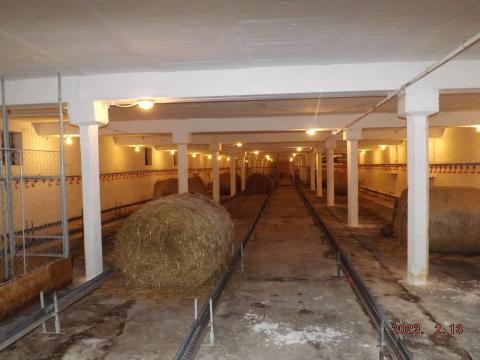 Szecskázott nagykörű szalmabála Szecskázott nagykörű szalmabála