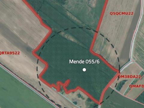 Eladó 14 hektár akácerdő Pest vármegyében Eladó 14 hektár akácerdő Pest vármegyében