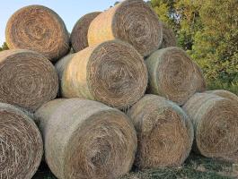 Széna bála (hálós körbála) eladó Pápa/Celldömölk környékén, rakodás, igény szerint szállítás megoldható