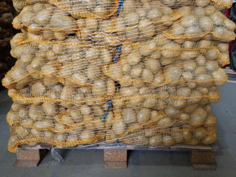 Burgonya eladó / Potato for sale Burgonya eladó / Potato for sale