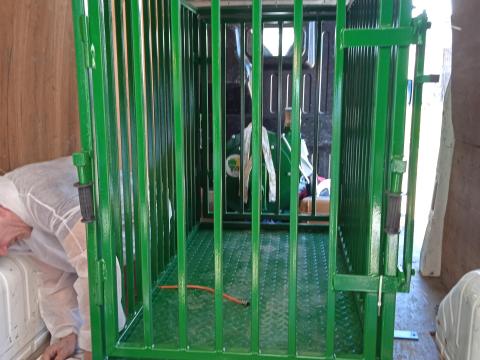 M-ROL WG02 Sertésmérleg M-ROL WG02 Sertésmérleg