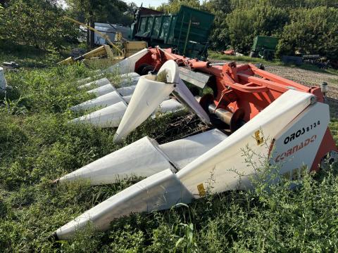 Orosz cornado Orosz cornado