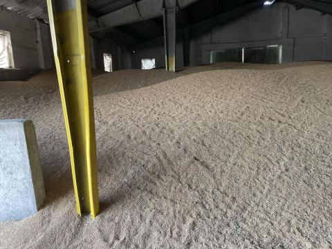 215 tonna takarmánybúza eladó 215 tonna takarmánybúza eladó