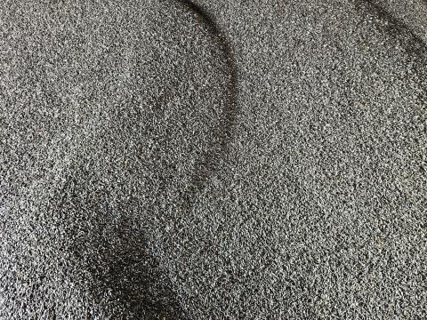 Csíkos napraforgó eladó Fejér megyében