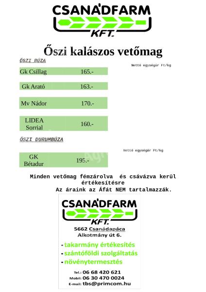 Fémzárolt búza vetőmag kedvező áron