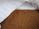 Lucernamag