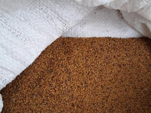Lucernamag Lucernamag