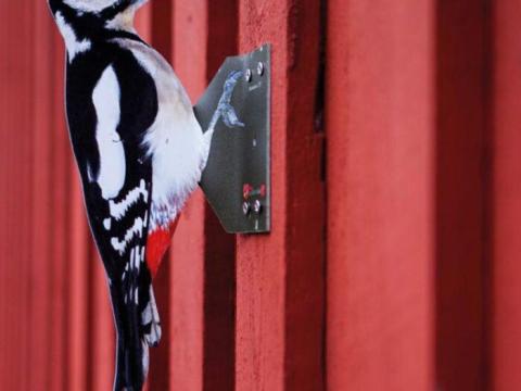 Harkályriasztó „nagy fakopáncs”