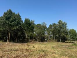 Hövejen, faluszéli csendes helyen 3 db telek eladó