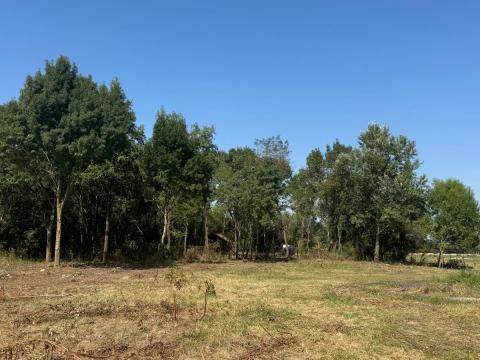 Hövejen, faluszéli csendes helyen 3 db telek eladó Hövejen, faluszéli csendes helyen 3 db telek eladó