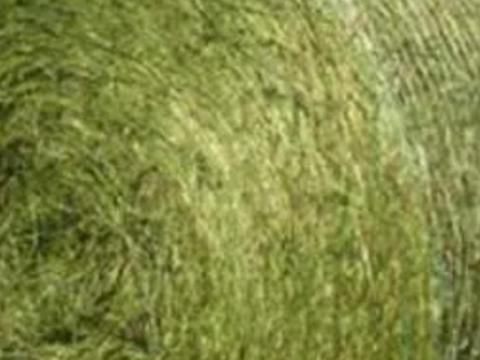 Lucerna- és szénabála eladó kamiontételben Lucerna- és szénabála eladó kamiontételben