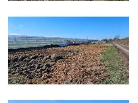 Csongrád megyei kertészet eladó Csongrád megyei kertészet eladó