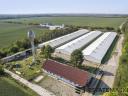 Eladó sertéstelep, 7200 férőhelyes, teljesen automatizált (bérlésre lehetőség nincs!)