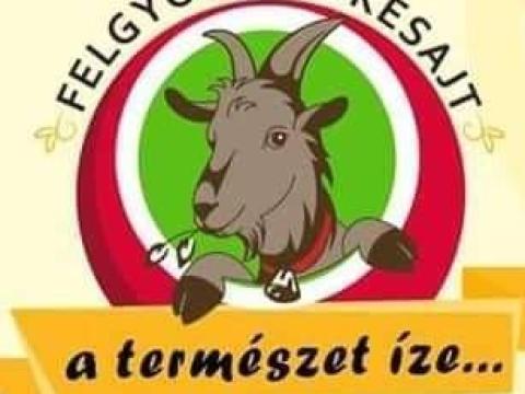 Jól működő kecskefarm eladó Felgyőn (Csongrád-Csanád vármegye) Jól működő kecskefarm eladó Felgyőn (Csongrád-Csanád vármegye)
