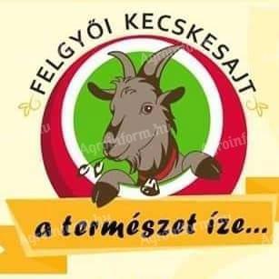 Jól működő kecskefarm eladó Felgyőn (Csongrád-Csanád vármegye)