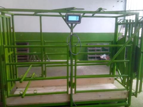 Szarvasmarha-kezelő kaloda Szarvasmarha-kezelő kaloda